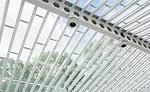 Skylights and Shadows