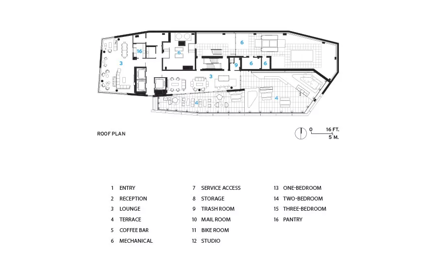The House