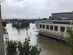 Hurricane Harvey
