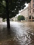 Hurricane Harvey