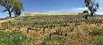 Domaines Ott Winery