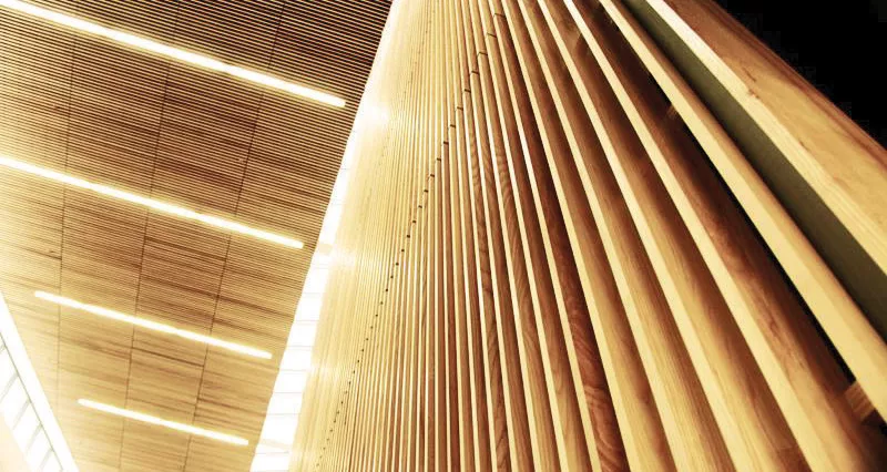 Looking Up