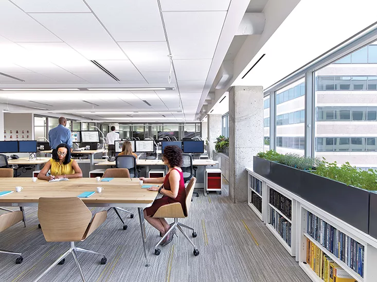 Wellness in the Workplace