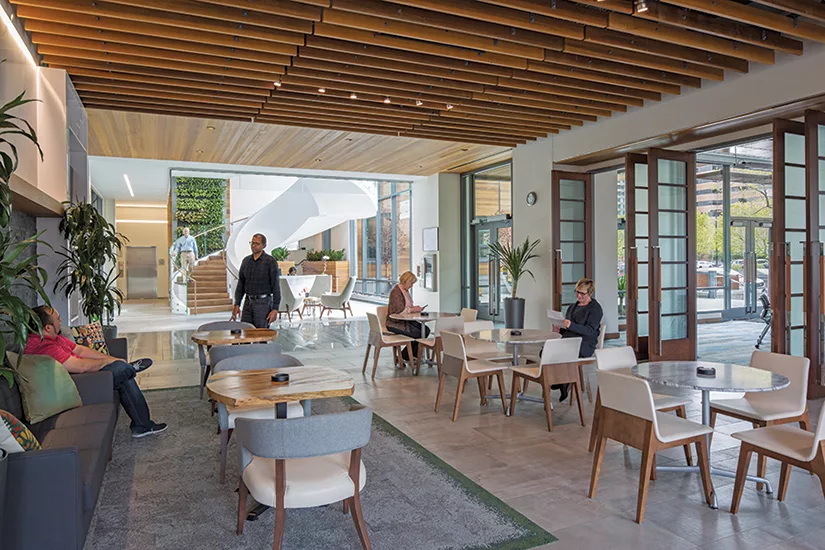 Wellness in the Workplace