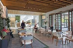 Wellness in the Workplace