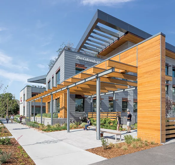 Wellness in the Workplace
