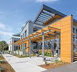Wellness in the Workplace