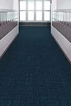 January 2017 Products: K-12 Schools