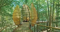 WildWoods at Fernbank Museum of Natural History