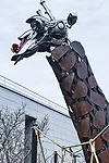 Zooraji