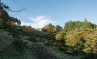 Enoura Observatory