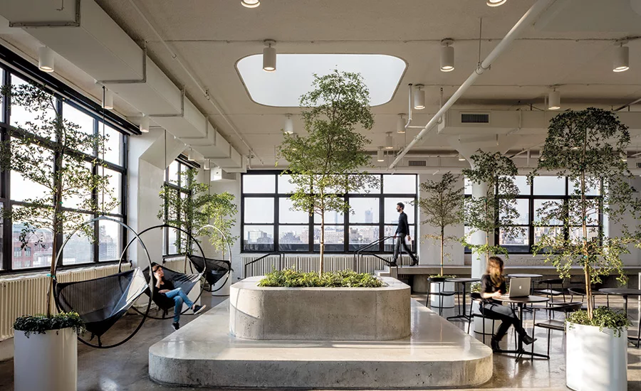 Squarespace by Architecture Plus Information 