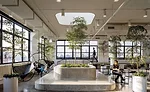 Squarespace by Architecture Plus Information 