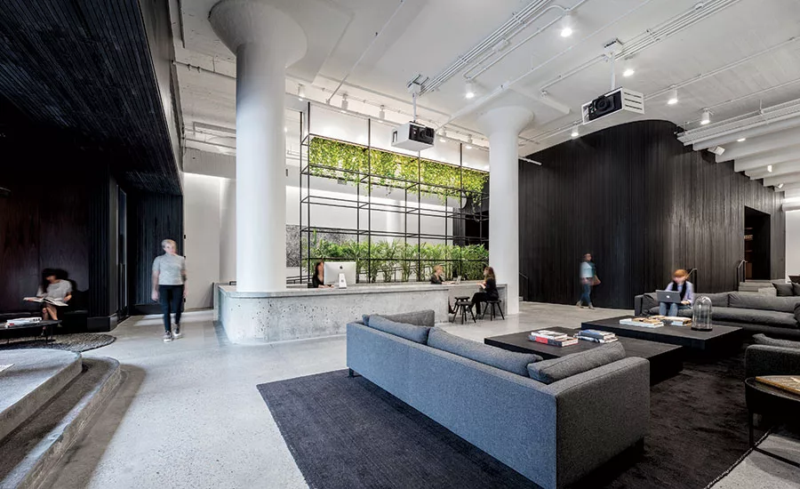 Squarespace by Architecture Plus Information
