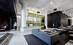 Squarespace by Architecture Plus Information