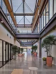 Google at 1212 Bordeaux by Parabola