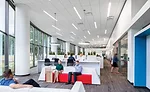 Extra Large Firms