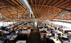 Large Firms