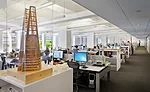 Large Firms