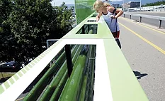 Civic Architects