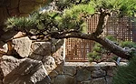 Lath House