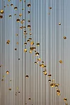 The Constellation at Founder's Memorial Park
