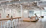 Tech Company Office