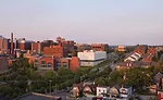 Neuroscience Institute