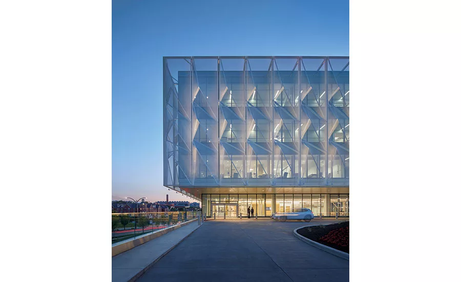 Neuroscience Institute