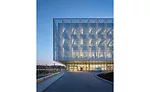 Neuroscience Institute