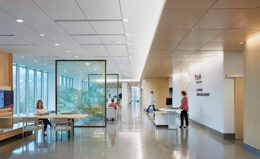 Neuroscience Institute