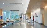 Neuroscience Institute