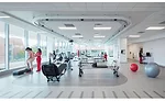 Neuroscience Institute