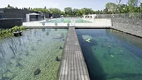 Borden Park