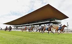 Curragh Racecourse by Grimshaw