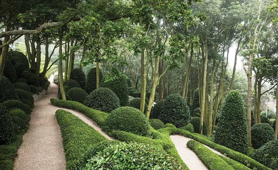 Perspective Landscape