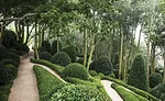 Perspective Landscape