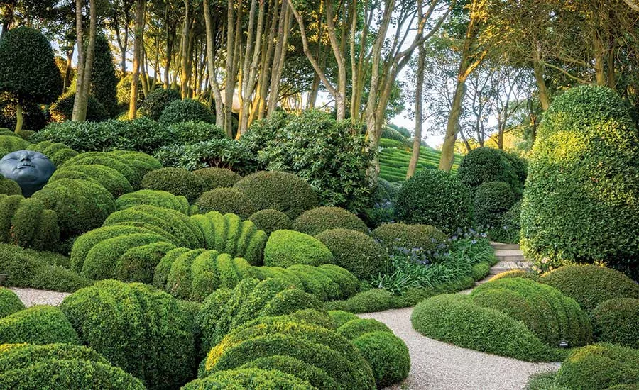 Perspective Landscape