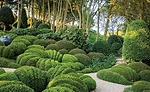 Perspective Landscape