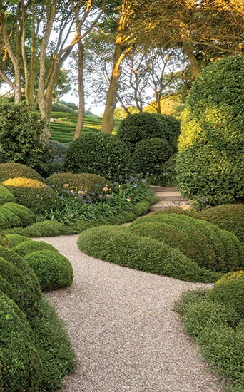 Perspective Landscape