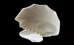 CEU: Biomimetic Materials