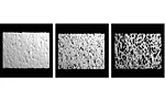CEU: Biomimetic Materials