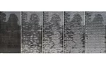 CEU: Biomimetic Materials