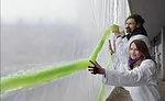 CEU: Biomimetic Materials
