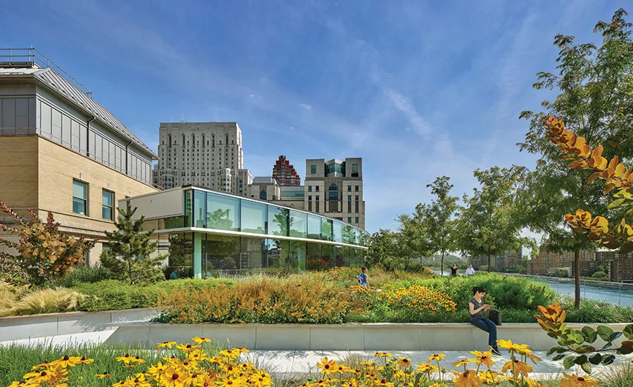 Rockefeller University