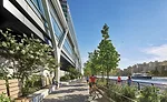 Rockefeller University