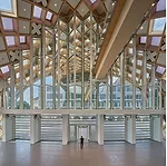 Continuing Education: Mass Timber