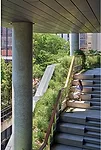 On the High Line