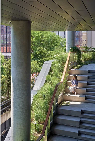 On the High Line