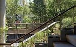 On the High Line
